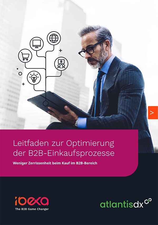 Ibexa eBook Cover: Leitfaden zur Optimierung der B2B-Einkaufsprozesse